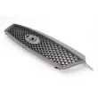 Grille de radiateur BLIC 6502-07-2534990P - Visuel 3