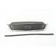 Grille de radiateur BLIC 6502-07-2534991P - Visuel 1