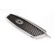 Grille de radiateur BLIC 6502-07-2534991P - Visuel 3