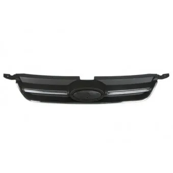 Grille de radiateur BLIC 6502-07-2535995Q
