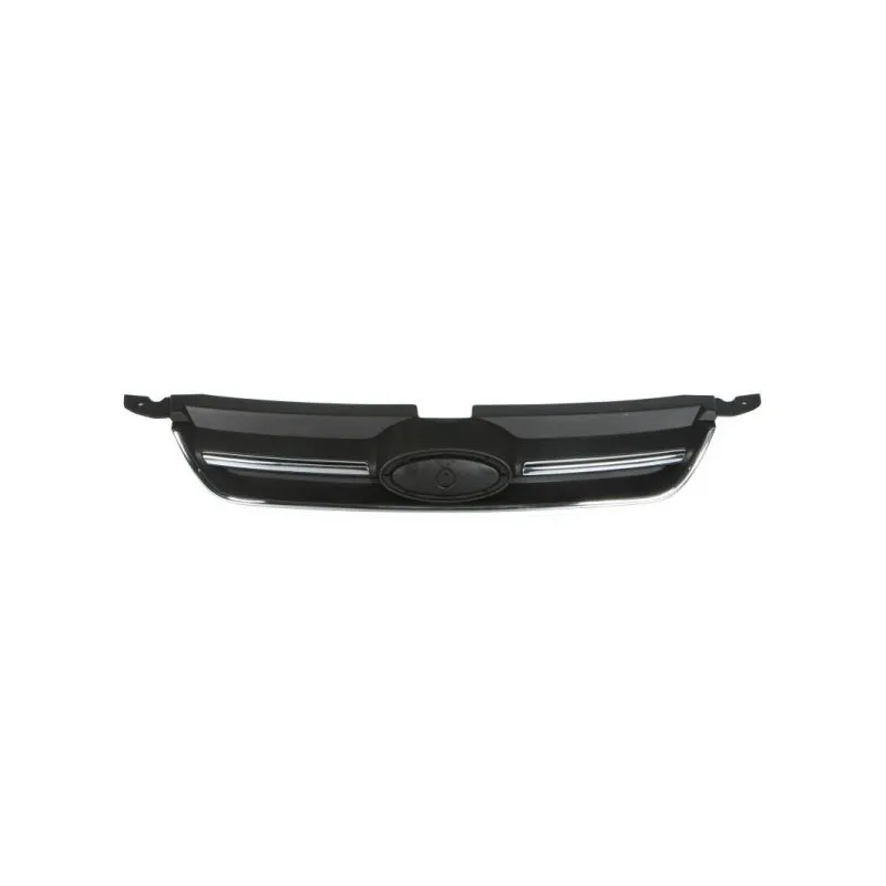 Grille de radiateur BLIC 6502-07-2535995Q