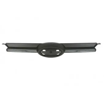 Grille de radiateur BLIC 6502-07-25369901P