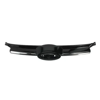 Grille de radiateur BLIC 6502-07-2536990P