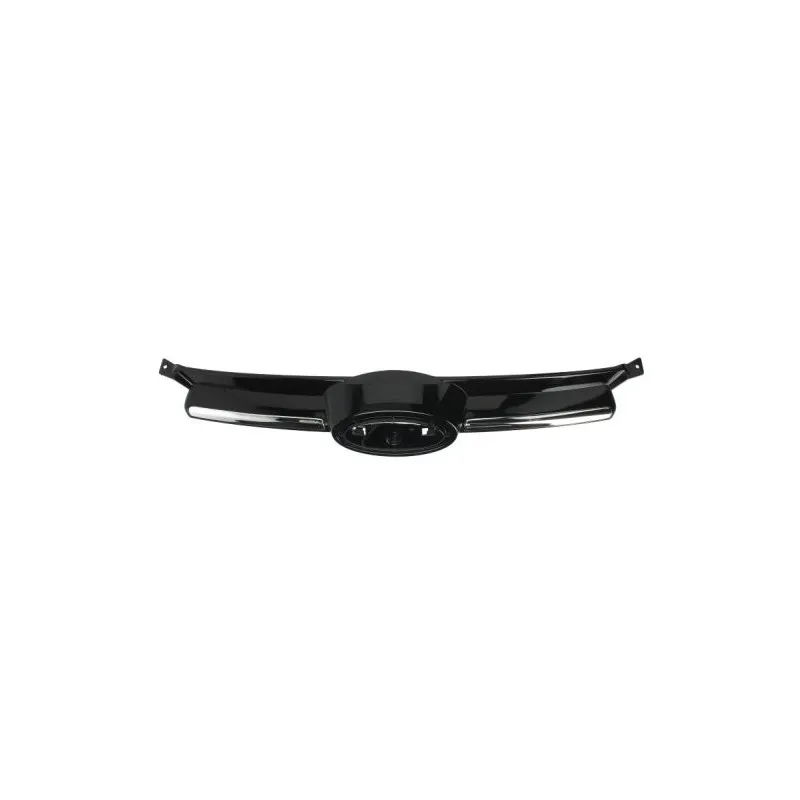 Grille de radiateur BLIC 6502-07-2536990P