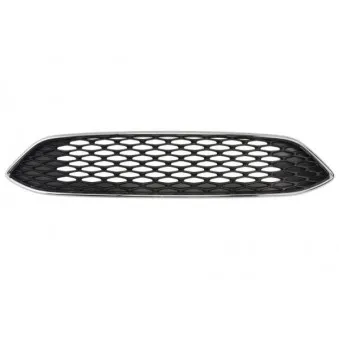 Grille de radiateur BLIC 6502-07-253699AP