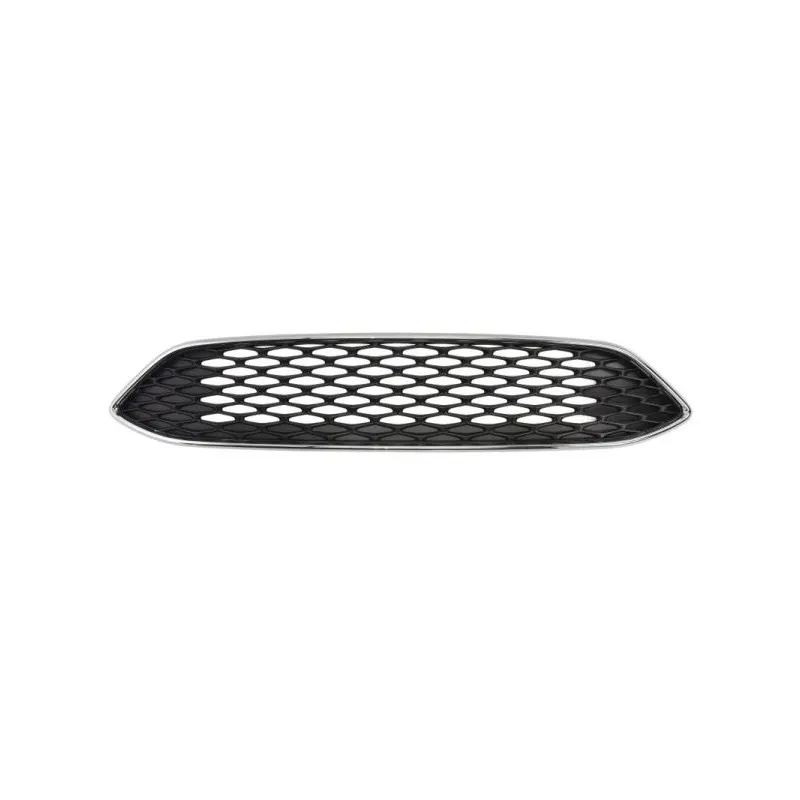 Grille de radiateur BLIC 6502-07-253699AP