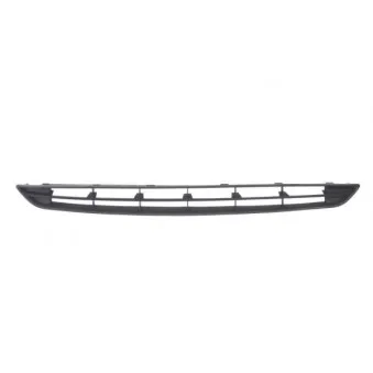 Grille de radiateur BLIC 6502-07-2539991P