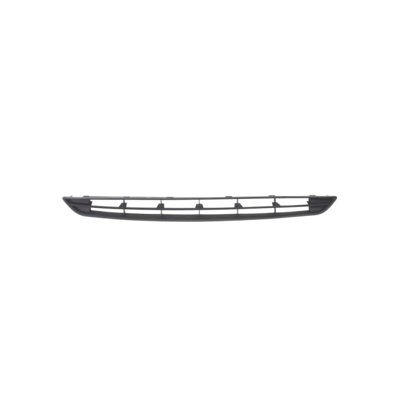 Grille de radiateur BLIC 6502-07-2539991P