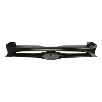Grille de radiateur BLIC 6502-07-2553990P