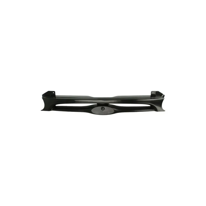 Grille de radiateur BLIC 6502-07-2553990P