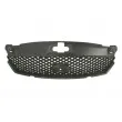 Grille de radiateur BLIC 6502-07-2555990P - Visuel 2