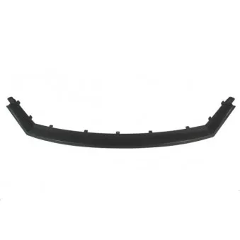 Grille de radiateur BLIC 6502-07-2555991P
