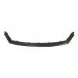 Grille de radiateur BLIC 6502-07-2555991P - Visuel 2