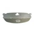 Grille de radiateur BLIC 6502-07-2555995P - Visuel 1