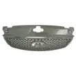 Grille de radiateur BLIC 6502-07-2555995P - Visuel 2