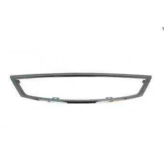 Cadre, grille de radiateur BLIC 6502-07-2555996P