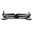 Grille de radiateur BLIC 6502-07-2556991P - Visuel 1