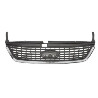 Grille de radiateur BLIC 6502-07-2556992P