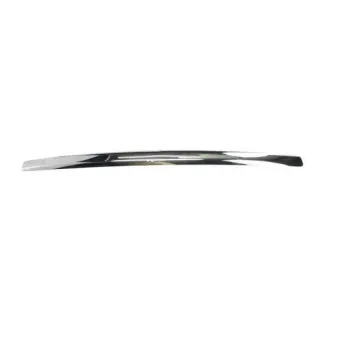 Baguette et bande protectrice, grille de radiateur BLIC 6502-07-2556993P