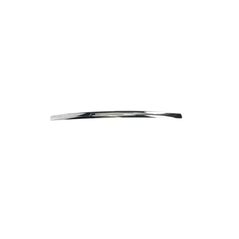 Baguette et bande protectrice, grille de radiateur BLIC 6502-07-2556993P