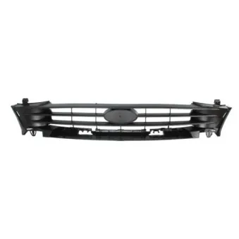 Grille de radiateur BLIC 6502-07-2563991P