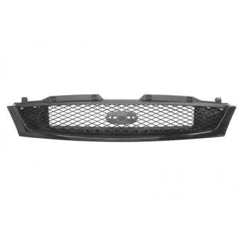 Grille de radiateur BLIC 6502-07-2563992P