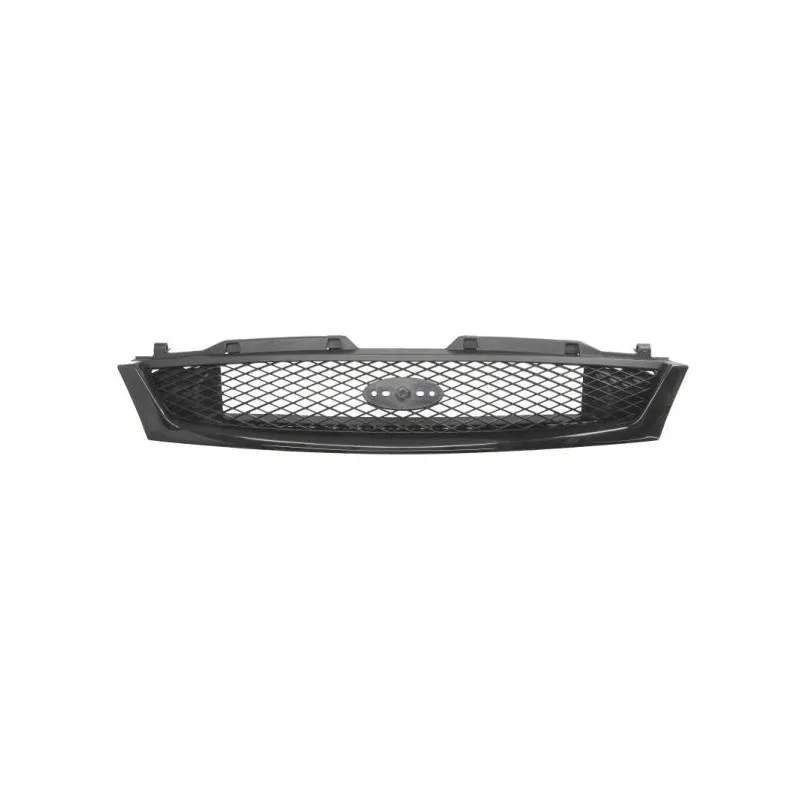 Grille de radiateur BLIC 6502-07-2563992P