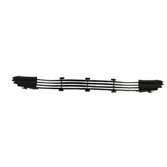 Grille de ventilation, pare-chocs BLIC 6502-07-2563995P