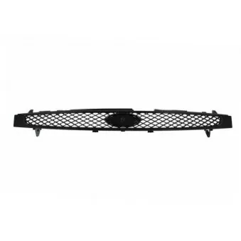 Grille de radiateur BLIC 6502-07-2564990P