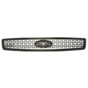 Grille de radiateur BLIC 6502-07-2576991P