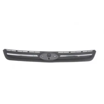 Grille de radiateur BLIC 6502-07-2579991P