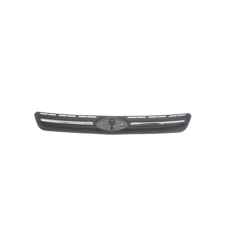 Grille de radiateur BLIC 6502-07-2579991P