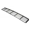Grille de ventilation, pare-chocs BLIC 6502-07-2582995P - Visuel 2