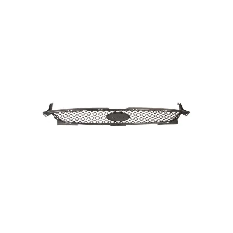 Grille de radiateur BLIC 6502-07-2583990P