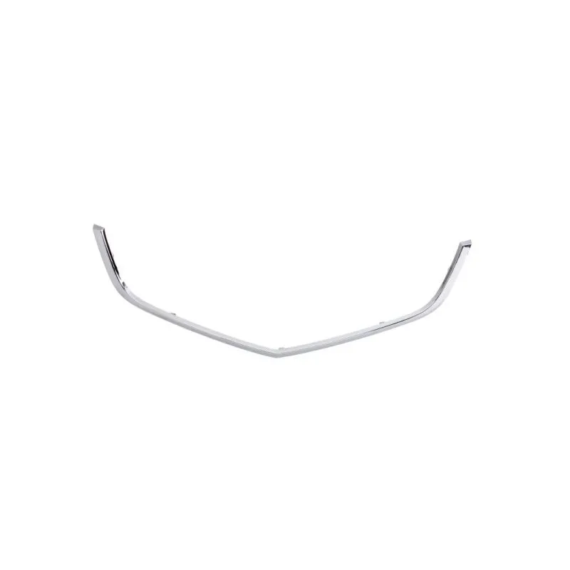 Baguette et bande protectrice, grille de radiateur BLIC 6502-07-2926991P