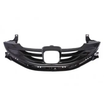 Grille de radiateur BLIC 6502-07-2940990P