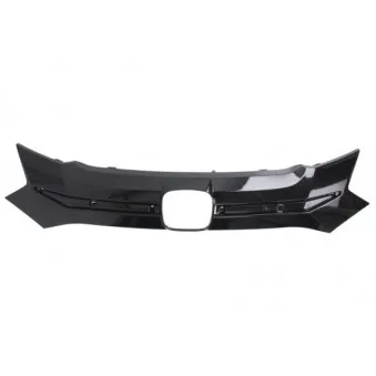 Grille de radiateur BLIC 6502-07-2950990P