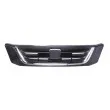 Grille de radiateur BLIC 6502-07-2955990P - Visuel 2