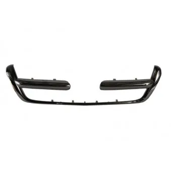 Baguette et bande protectrice, grille de radiateur BLIC 6502-07-2956991P