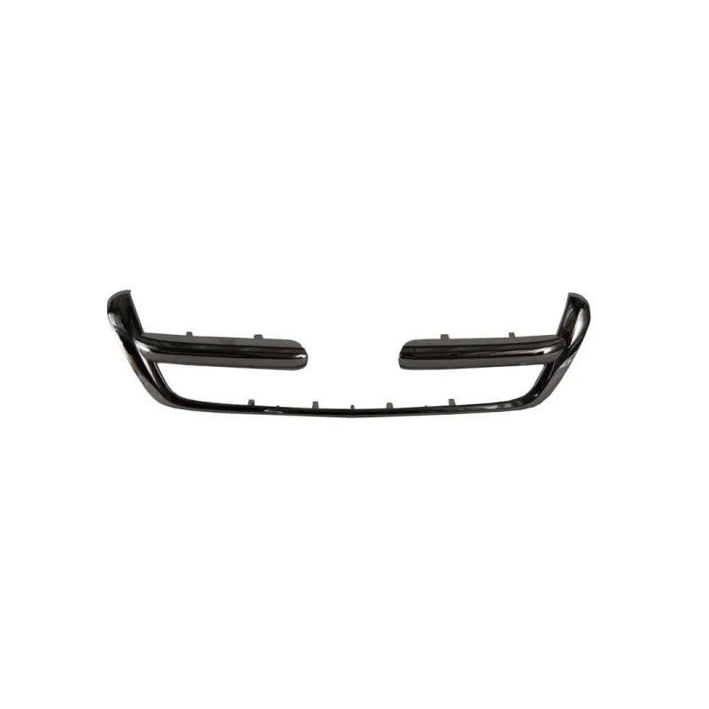 Baguette et bande protectrice, grille de radiateur BLIC 6502-07-2956991P