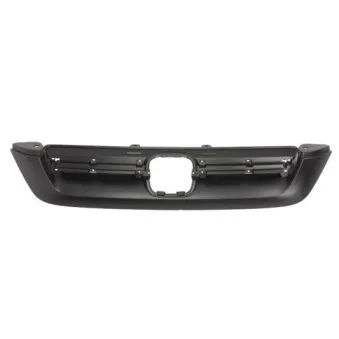 Grille de radiateur BLIC 6502-07-2957990P
