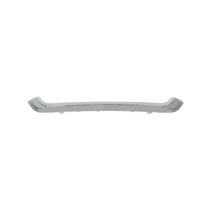 Baguette et bande protectrice, grille de radiateur BLIC 6502-07-2957993P