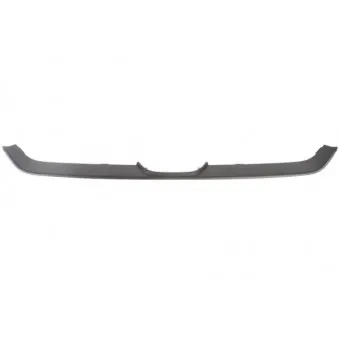 Baguette et bande protectrice, grille de radiateur BLIC 6502-07-2957994P