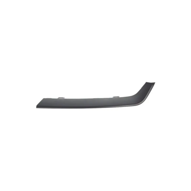 Baguette et bande protectrice, grille de radiateur BLIC 6502-07-2957995P