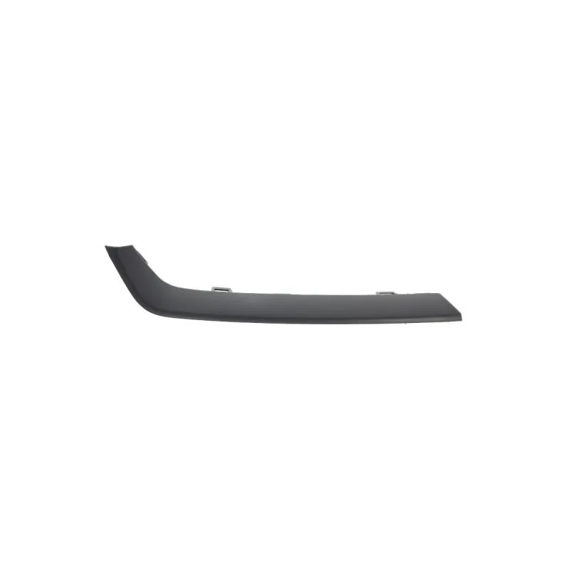 Baguette et bande protectrice, grille de radiateur BLIC 6502-07-2957996P