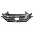 Grille de radiateur BLIC 6502-07-2958990P - Visuel 1