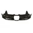 Grille de radiateur BLIC 6502-07-2958990P - Visuel 2