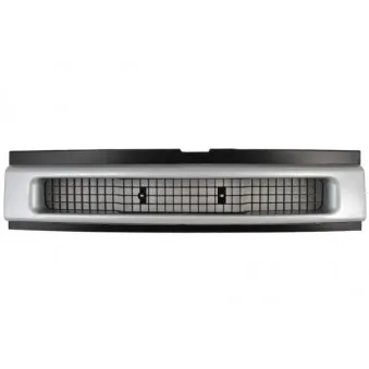 Grille de radiateur BLIC 6502-07-3080990P