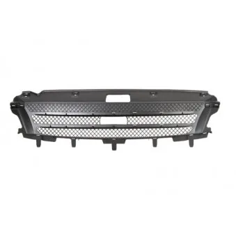 Grille de radiateur BLIC 6502-07-3081990P