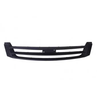 Grille de radiateur BLIC 6502-07-3081991P